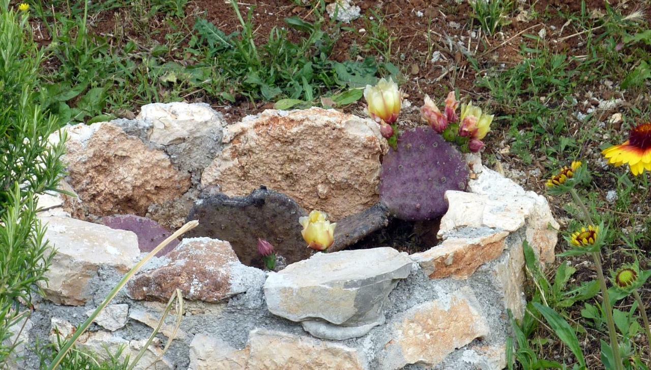 Palme Villa Poreč Dış mekan fotoğraf